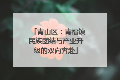 青山区：青福镇民族团结与产业升级的双向奔赴