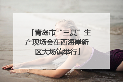 青岛市“三夏”生产现场会在西海岸新区大场镇举行