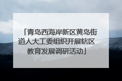 青岛西海岸新区黄岛街道人大工委组织开展辖区教育发展调研活动
