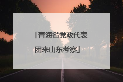 青海省党政代表团来山东考察