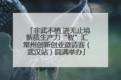 非武不栖 进无止境 新质生产力“智”汇常州创新创业邀请赛（武汉站）圆满举办