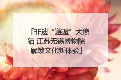 非遗“邂逅”大熊猫 江苏无锡博物院解锁文化新体验