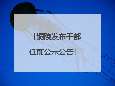 铜陵发布干部任前公示公告