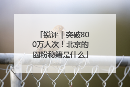 锐评｜突破800万人次！北京的圈粉秘籍是什么