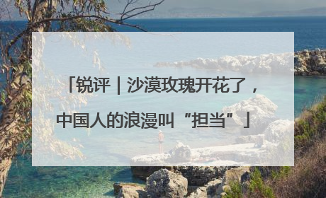 锐评｜沙漠玫瑰开花了，中国人的浪漫叫“担当”