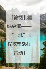 锦绣北疆绿更浓——“三北”工程攻坚战在行动