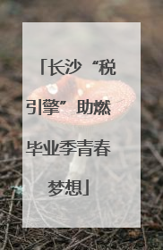 长沙“税引擎”助燃毕业季青春梦想