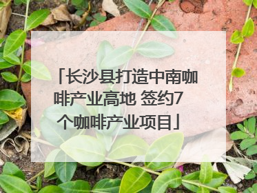 长沙县打造中南咖啡产业高地 签约7个咖啡产业项目