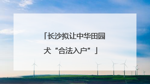 长沙拟让中华田园犬“合法入户”