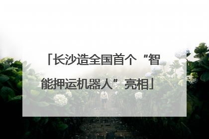 长沙造全国首个“智能押运机器人”亮相