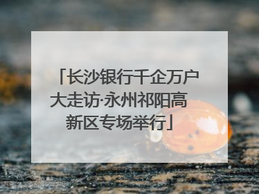 长沙银行千企万户大走访·永州祁阳高新区专场举行