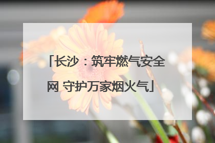 长沙：筑牢燃气安全网 守护万家烟火气
