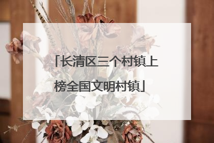 长清区三个村镇上榜全国文明村镇