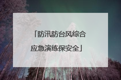 防汛防台风综合应急演练保安全