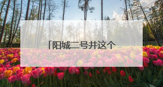 阳城二号井这个安全月，充满温情有“爸”气