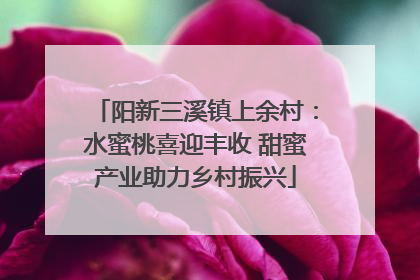 阳新三溪镇上余村：水蜜桃喜迎丰收 甜蜜产业助力乡村振兴