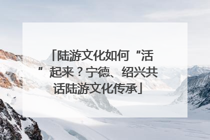 陆游文化如何“活 ”起来？宁德、绍兴共话陆游文化传承