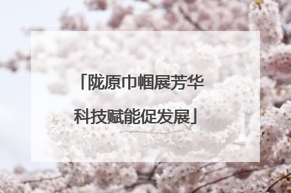 陇原巾帼展芳华 科技赋能促发展