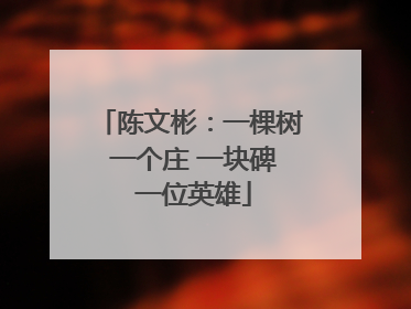 陈文彬：一棵树 一个庄 一块碑 一位英雄