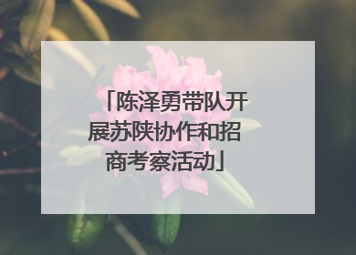 陈泽勇带队开展苏陕协作和招商考察活动