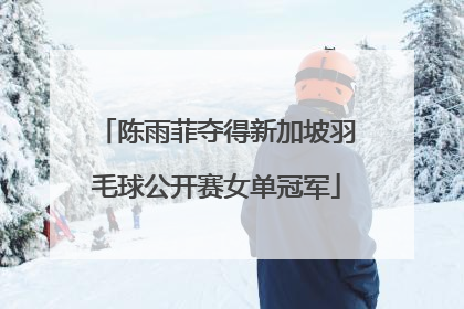 陈雨菲夺得新加坡羽毛球公开赛女单冠军