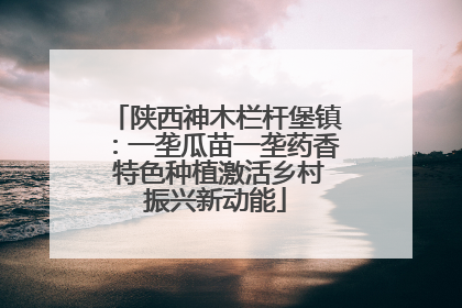 陕西神木栏杆堡镇：一垄瓜苗一垄药香 特色种植激活乡村振兴新动能