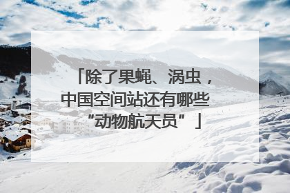 除了果蝇、涡虫，中国空间站还有哪些“动物航天员”