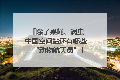 除了果蝇、涡虫 中国空间站还有哪些“动物航天员”