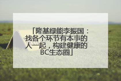 隆基绿能李振国：找各个环节有本事的人一起，构建健康的BC生态圈