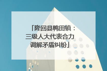 隆回县鸭田镇：三级人大代表合力调解矛盾纠纷