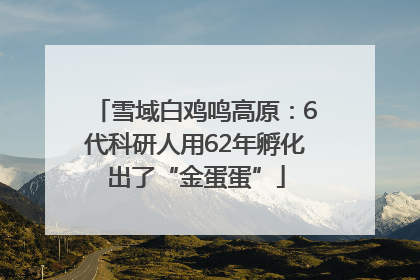 雪域白鸡鸣高原：6代科研人用62年孵化出了“金蛋蛋”