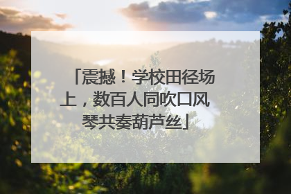 震撼！学校田径场上，数百人同吹口风琴共奏葫芦丝