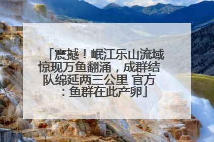 震撼！岷江乐山流域惊现万鱼翻涌，成群结队绵延两三公里 官方：鱼群在此产卵