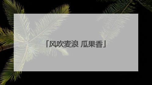 风吹麦浪 瓜果香