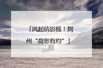 风起倩影摇！荆州“荷您有约”