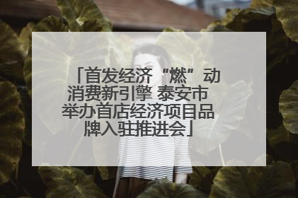 首发经济“燃”动消费新引擎 泰安市举办首店经济项目品牌入驻推进会
