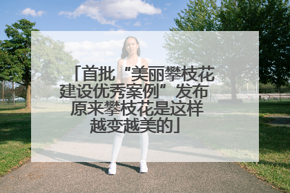 首批“美丽攀枝花建设优秀案例”发布 原来攀枝花是这样越变越美的