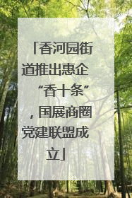 香河园街道推出惠企“香十条”，国展商圈党建联盟成立