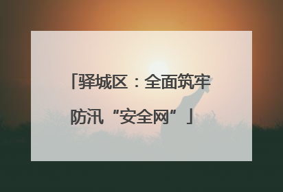 驿城区：全面筑牢防汛“安全网”