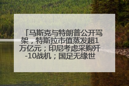 马斯克与特朗普公开骂架，特斯拉市值蒸发超1万亿元；印尼考虑采购歼-10战机；国足无缘世界杯丨每经早参