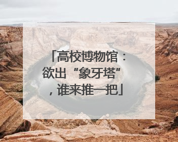 高校博物馆：欲出“象牙塔”，谁来推一把