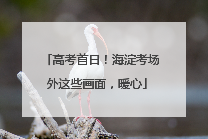高考首日！海淀考场外这些画面，暖心