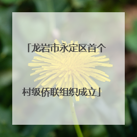 龙岩市永定区首个村级侨联组织成立