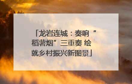 龙岩连城：奏响“稻薯烟”三重奏 绘就乡村振兴新图景