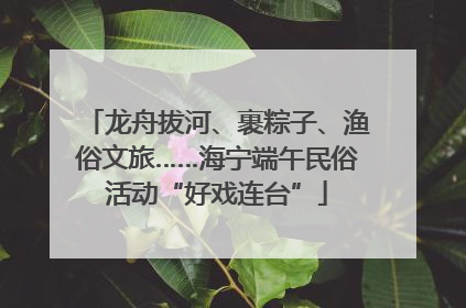 龙舟拔河、裹粽子、渔俗文旅……海宁端午民俗活动“好戏连台”