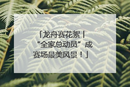 龙舟赛花絮丨 “全家总动员”成赛场最美风景！