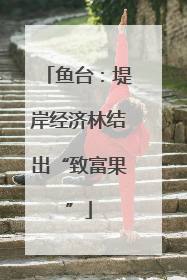 鱼台：堤岸经济林结出“致富果”