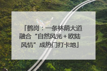 鹤岗：一条林荫大道融合“自然风光＋欧陆风情”成热门打卡地