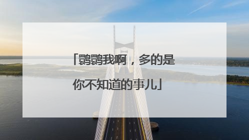 鹮鹮我啊，多的是你不知道的事儿