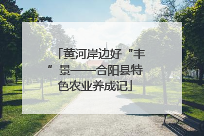 黄河岸边好“丰”景——合阳县特色农业养成记